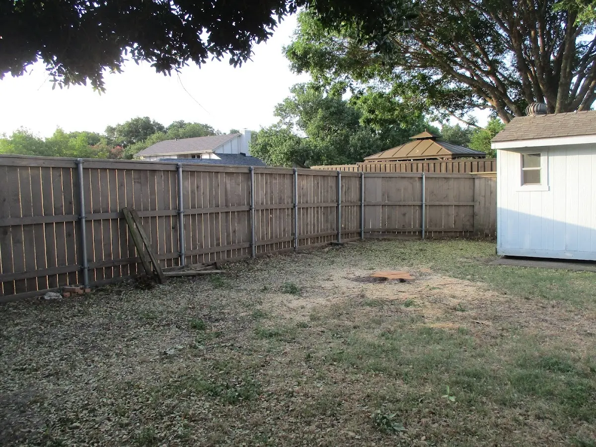 Cleared yard after professional tree removal in Powellsville
